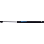 Order Lift Support by STRONG ARM - D7353 For Your Vehicle