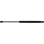 Order Lift Support by STRONG ARM - D7400 For Your Vehicle