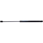 Order Lift Support by STRONG ARM - D7403 For Your Vehicle