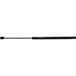 Order Lift Support by STRONG ARM - D7416 For Your Vehicle