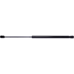 Order Lift Support by STRONG ARM - D7438 For Your Vehicle