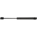 Order STRONG ARM - E7011 - Hood Lift Support For Your Vehicle