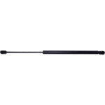 Order Lift Support by STRONG ARM - E7317 For Your Vehicle
