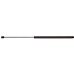 Order Lift Support by STRONG ARM - GL2011 For Your Vehicle