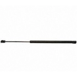 Order STRONG ARM - D6017 - Lift Support For Your Vehicle