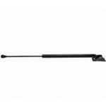 Order Lift Support by STRONG ARM - D7027 For Your Vehicle