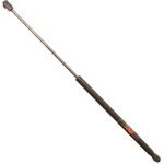 Order Lift Support by TRW AUTOMOTIVE - TSG201066 For Your Vehicle
