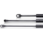 Order TRW AUTOMOTIVE - TSG230141 - Hatch Lift Support For Your Vehicle