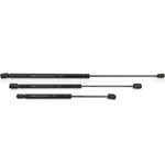 Order TRW AUTOMOTIVE - TSG415025 - Hood Lift Support For Your Vehicle