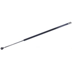 Order Lift Support by TUFF SUPPORT - 610009 For Your Vehicle