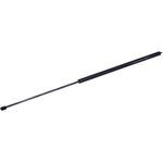 Order Lift Support by TUFF SUPPORT - 610043 For Your Vehicle