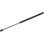 Order Lift Support by TUFF SUPPORT - 610191 For Your Vehicle