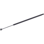 Order Lift Support by TUFF SUPPORT - 610209 For Your Vehicle