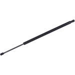 Order Lift Support by TUFF SUPPORT - 610210 For Your Vehicle