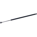 Order TUFF SUPPORT - 610216 - Liftgate Lift Support For Your Vehicle