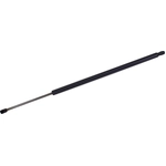 Order Lift Support by TUFF SUPPORT - 610278 For Your Vehicle