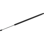 Order Lift Support by TUFF SUPPORT - 610279 For Your Vehicle