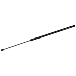 Order TUFF SUPPORT - 610283 - Hood Lift Support For Your Vehicle