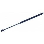 Order Support de levage par TUFF SUPPORT - 610299 For Your Vehicle