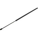Order Lift Support by TUFF SUPPORT - 610306 For Your Vehicle