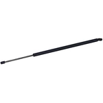 Order TUFF SUPPORT - 610310 - Hood Lift Support For Your Vehicle