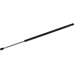 Order TUFF SUPPORT - 610447 - Hood Lift Support For Your Vehicle