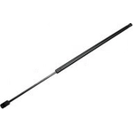 Order TUFF SUPPORT - 610447 - Hood Lift Support For Your Vehicle