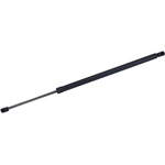 Order TUFF SUPPORT - 610476 - Liftgate Lift Support For Your Vehicle