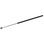 Order TUFF SUPPORT - 610539 - Hood Lift Support For Your Vehicle