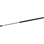 Order TUFF SUPPORT - 610544 - Hood Lift Support For Your Vehicle