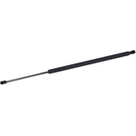 Order TUFF SUPPORT - 610546 - Liftgate Lift Support For Your Vehicle