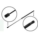 Order TUFF SUPPORT - 610546 - Liftgate Lift Support For Your Vehicle