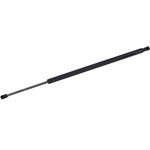 Order TUFF SUPPORT - 610556 - Lift Support For Your Vehicle