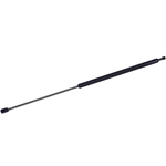 Order TUFF SUPPORT - 610560 - Lift Support For Your Vehicle
