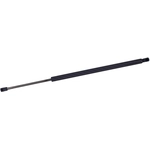 Order Lift Support by TUFF SUPPORT - 610588 For Your Vehicle