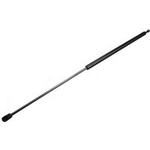 Order Lift Support by TUFF SUPPORT - 610606 For Your Vehicle