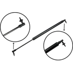Order Lift Support by TUFF SUPPORT - 610613 For Your Vehicle