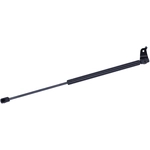 Order Lift Support by TUFF SUPPORT - 610671 For Your Vehicle