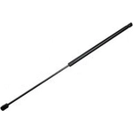 Order TUFF SUPPORT - 610686 - Lift Support For Your Vehicle