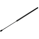 Order Lift Support by TUFF SUPPORT - 610735 For Your Vehicle