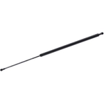 Order Lift Support by TUFF SUPPORT - 610746 For Your Vehicle