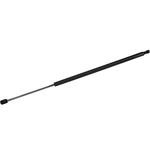 Order TUFF SUPPORT - 610756 - Hood Lift Support For Your Vehicle