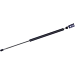 Order Support de levage par TUFF SUPPORT - 610777 For Your Vehicle