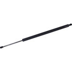 Order Lift Support by TUFF SUPPORT - 610786 For Your Vehicle