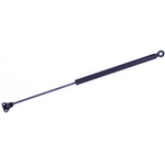 Order Support de levage par TUFF SUPPORT - 610813 For Your Vehicle