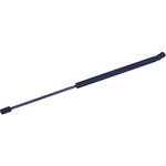 Order TUFF SUPPORT - 610816 - Lift Support For Your Vehicle