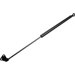 Order Lift Support by TUFF SUPPORT - 610817 For Your Vehicle