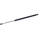 Order TUFF SUPPORT - 610819 - Liftgate Lift Support For Your Vehicle