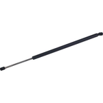 Order Lift Support by TUFF SUPPORT - 610826 For Your Vehicle