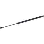 Order Lift Support by TUFF SUPPORT - 610829 For Your Vehicle